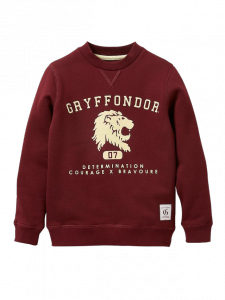 sweat-collection-harry-potter-garcon