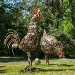 coq_et_poule