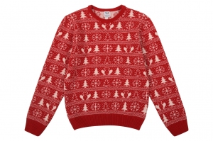 Tranquille_Emile_Pull_de_Noel_masculin_80_laine_merinos_125