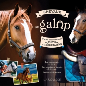 Chevaux_au_galop