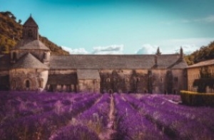 abbaye_provence_