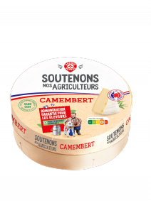 CAMEMBERT_2D