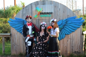 ParrotWorld_diadelosmuertos_animateurs20-20copie