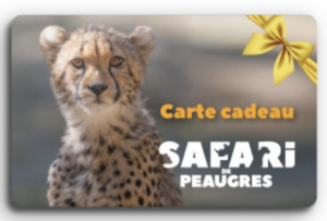 Carte_cadeau_Peaugres