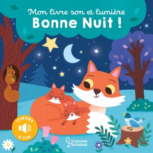 Mon_livre_son_et_lumiere_Bonne_nuit