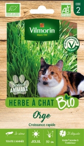 VILMORIN_BIO_FLEURS_5876239_3182670003035_HERBE_A_CHAT_BIO_GM_VL_2_PACKAGING_RECTO