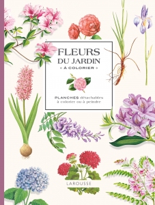 Fleurs_du_jardin_a_colorier